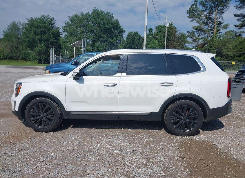 Photo 14 of 2020 Kia Telluride SX (VIN 5XYP5DHC4LG067625)