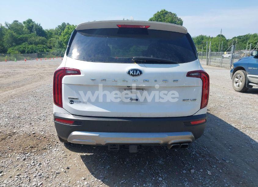 Photo 16 of 2020 Kia Telluride SX (VIN 5XYP5DHC4LG067625)