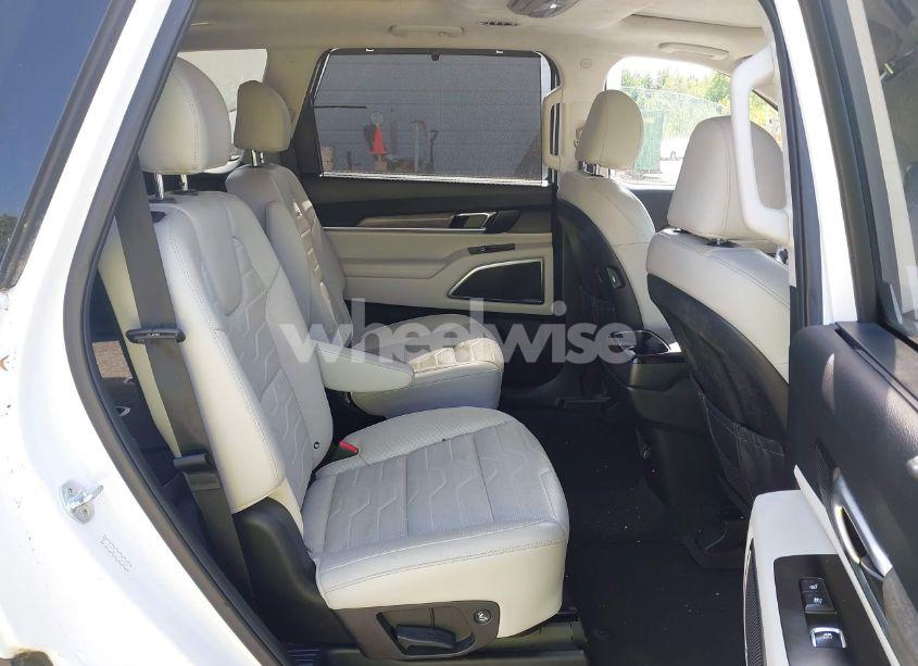 Photo 8 of 2020 Kia Telluride SX (VIN 5XYP5DHC4LG067625)