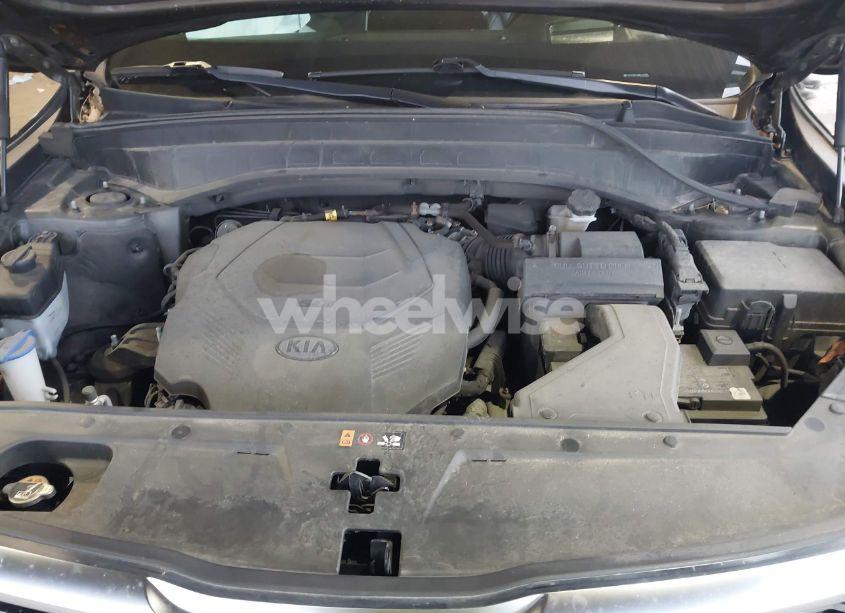 Photo 10 of 2021 Kia Telluride SX (VIN 5XYP5DHC4MG124780)