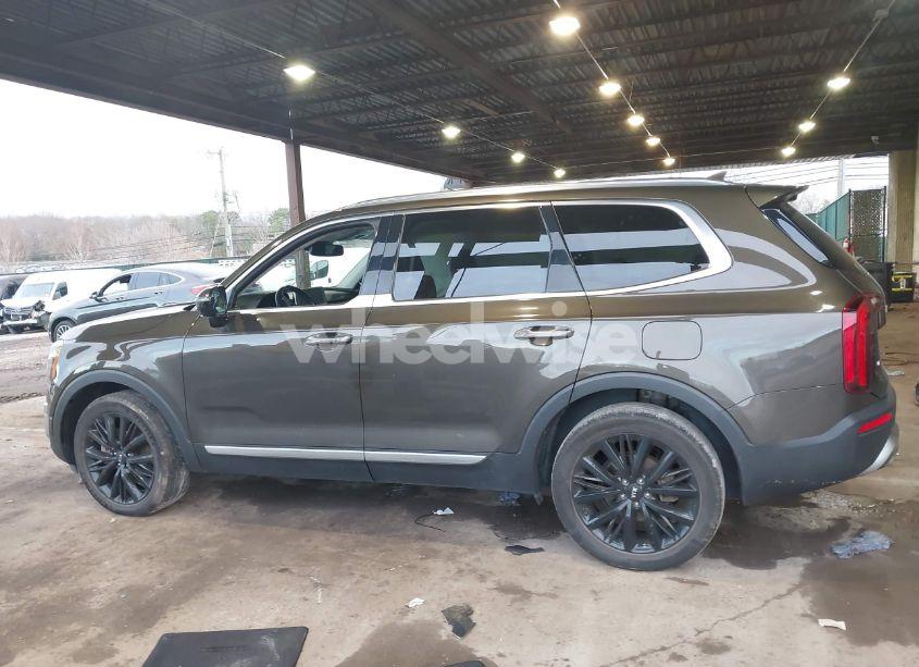 Photo 14 of 2021 Kia Telluride SX (VIN 5XYP5DHC4MG124780)