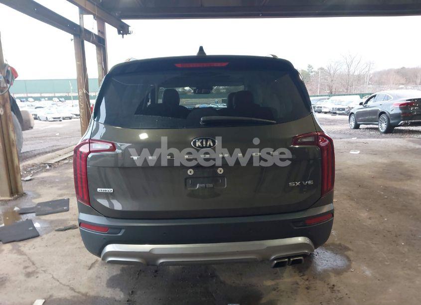 Photo 16 of 2021 Kia Telluride SX (VIN 5XYP5DHC4MG124780)