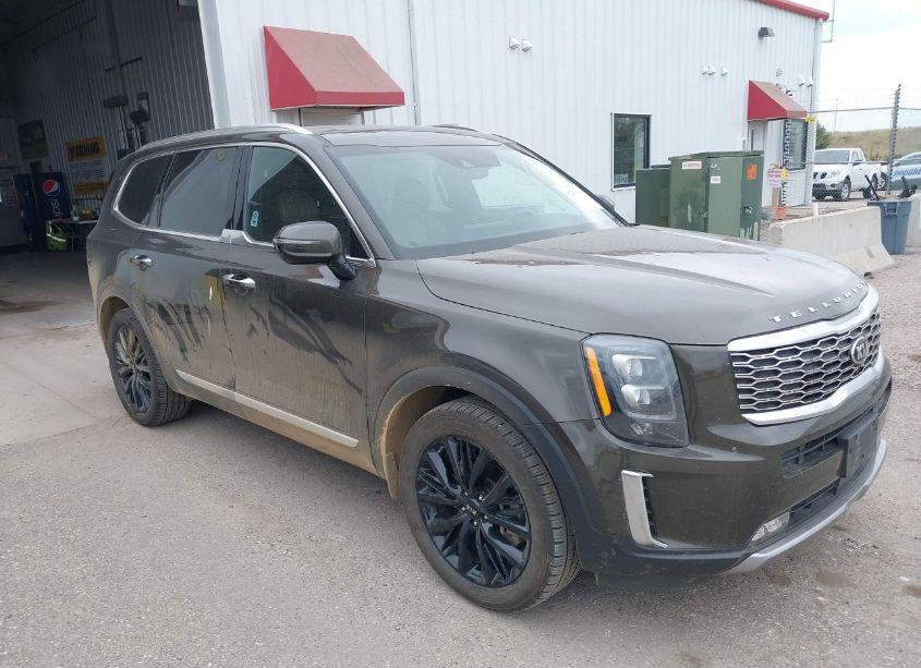 2021 Kia Telluride SX (VIN 5XYP5DHC4MG147752) main photo