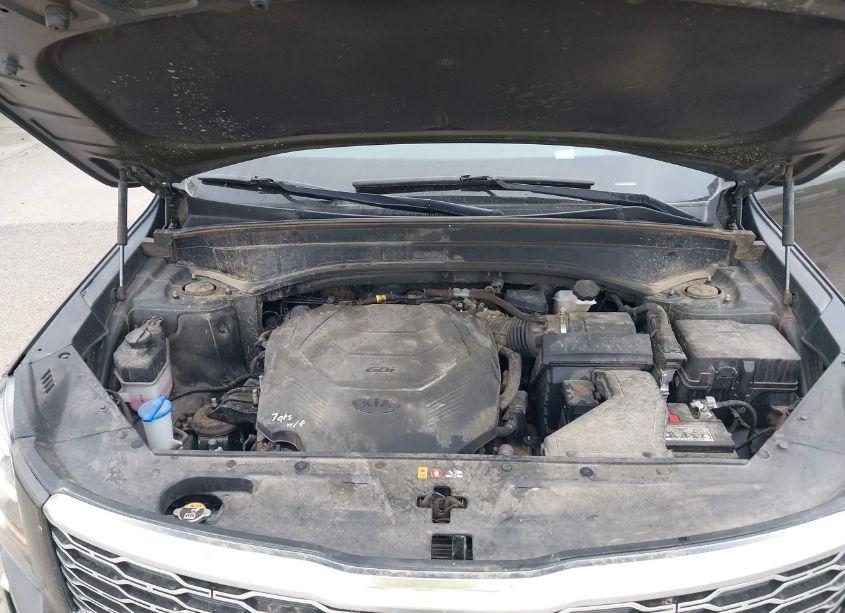 Photo 10 of 2021 Kia Telluride SX (VIN 5XYP5DHC4MG147752)