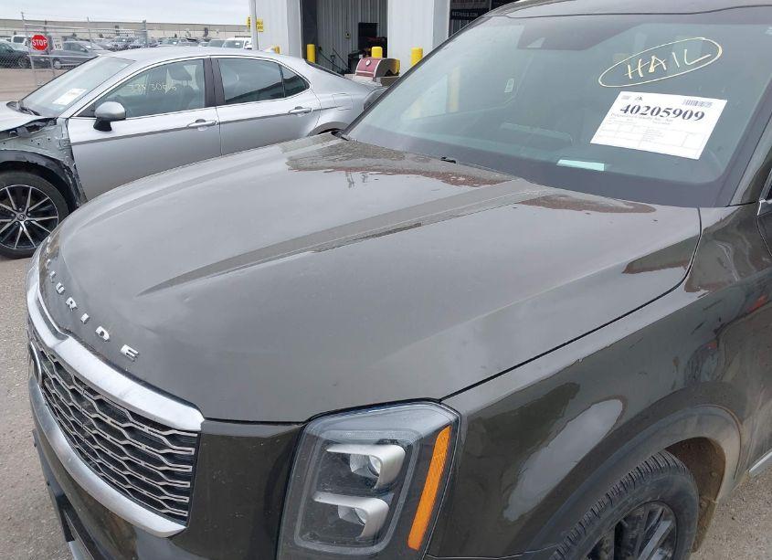 Photo 12 of 2021 Kia Telluride SX (VIN 5XYP5DHC4MG147752)