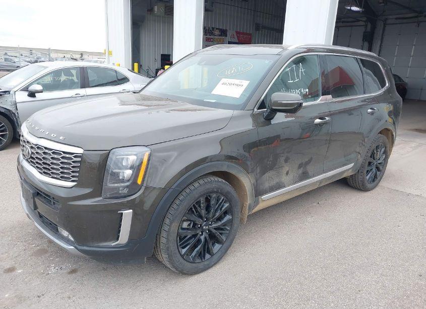 Photo 2 of 2021 Kia Telluride SX (VIN 5XYP5DHC4MG147752)