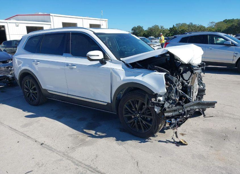 2022 Kia Telluride SX (VIN 5XYP5DHC4NG280321) main photo