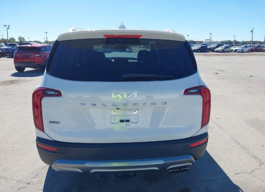 Photo 16 of 2022 Kia Telluride SX (VIN 5XYP5DHC4NG280321)