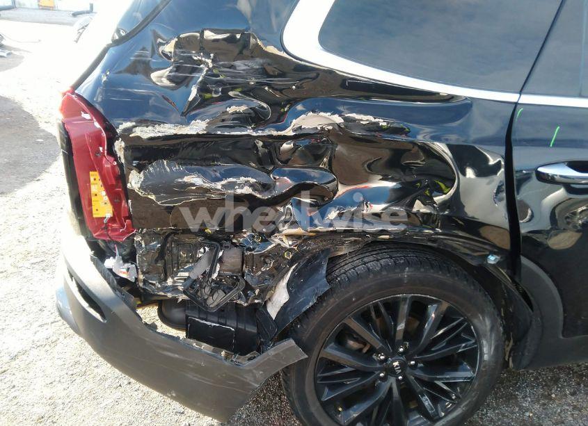 Photo 6 of 2021 Kia Telluride SX (VIN 5XYP5DHC5MG097024)