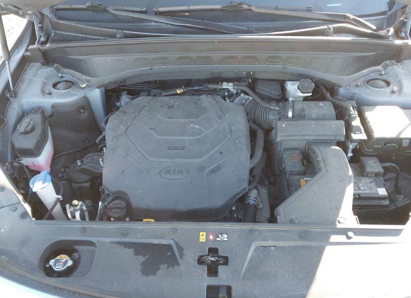 Photo 10 of 2021 Kia Telluride SX (VIN 5XYP5DHC5MG173647)