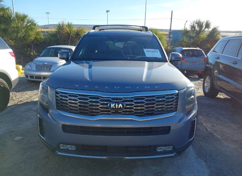 Photo 6 of 2021 Kia Telluride SX (VIN 5XYP5DHC5MG173647)