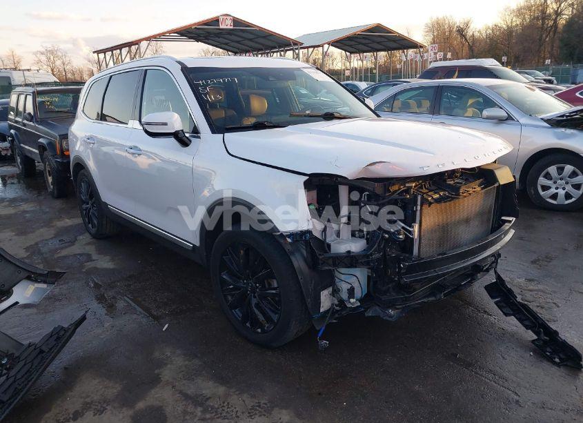 2021 Kia Telluride SX (VIN 5XYP5DHC6MG134839) main photo