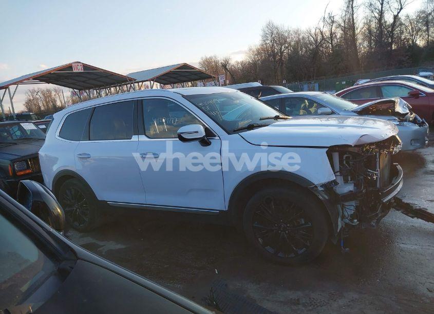 Photo 14 of 2021 Kia Telluride SX (VIN 5XYP5DHC6MG134839)