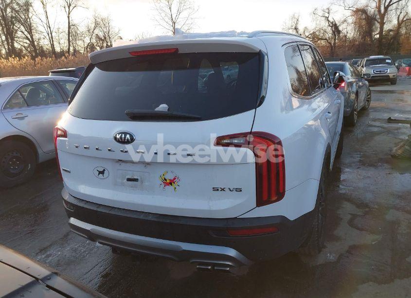 Photo 17 of 2021 Kia Telluride SX (VIN 5XYP5DHC6MG134839)