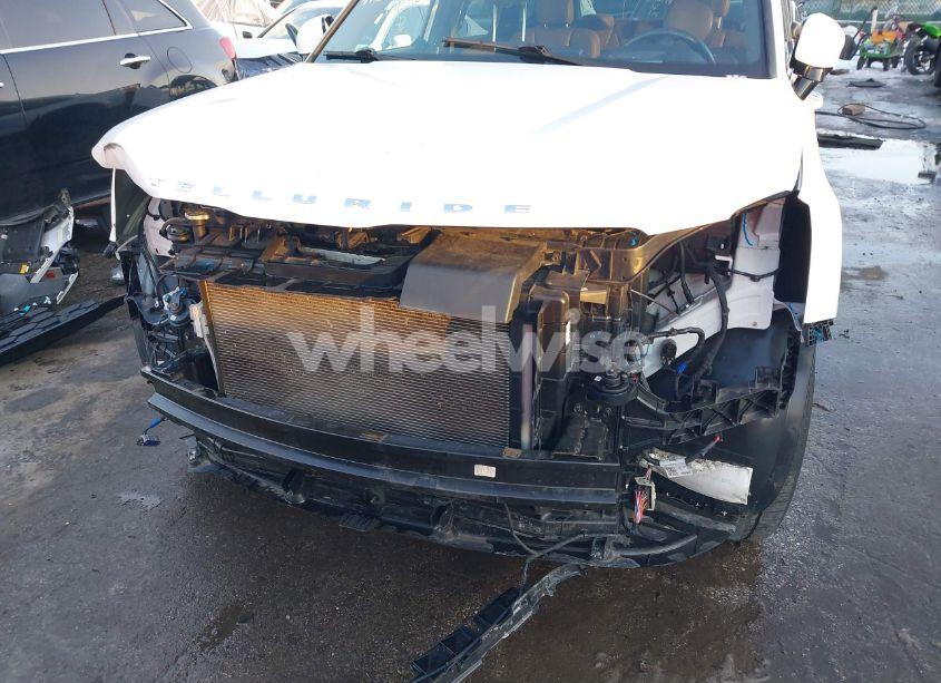 Photo 18 of 2021 Kia Telluride SX (VIN 5XYP5DHC6MG134839)