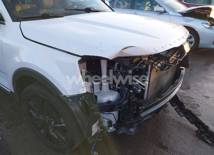 Photo 19 of 2021 Kia Telluride SX (VIN 5XYP5DHC6MG134839)