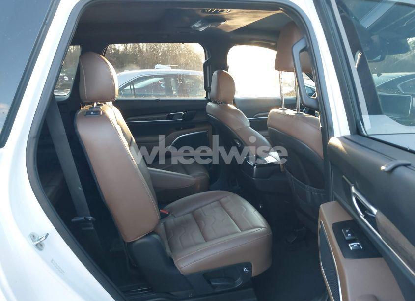 Photo 8 of 2021 Kia Telluride SX (VIN 5XYP5DHC6MG134839)