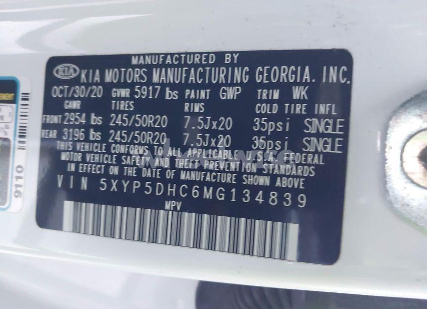 Photo 9 of 2021 Kia Telluride SX (VIN 5XYP5DHC6MG134839)