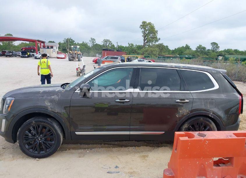 Photo 15 of 2021 Kia Telluride SX (VIN 5XYP5DHC7MG156705)