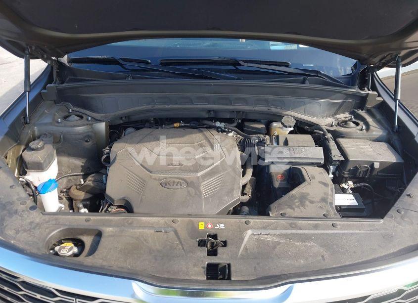 Photo 10 of 2021 Kia Telluride SX (VIN 5XYP5DHC7MG165033)