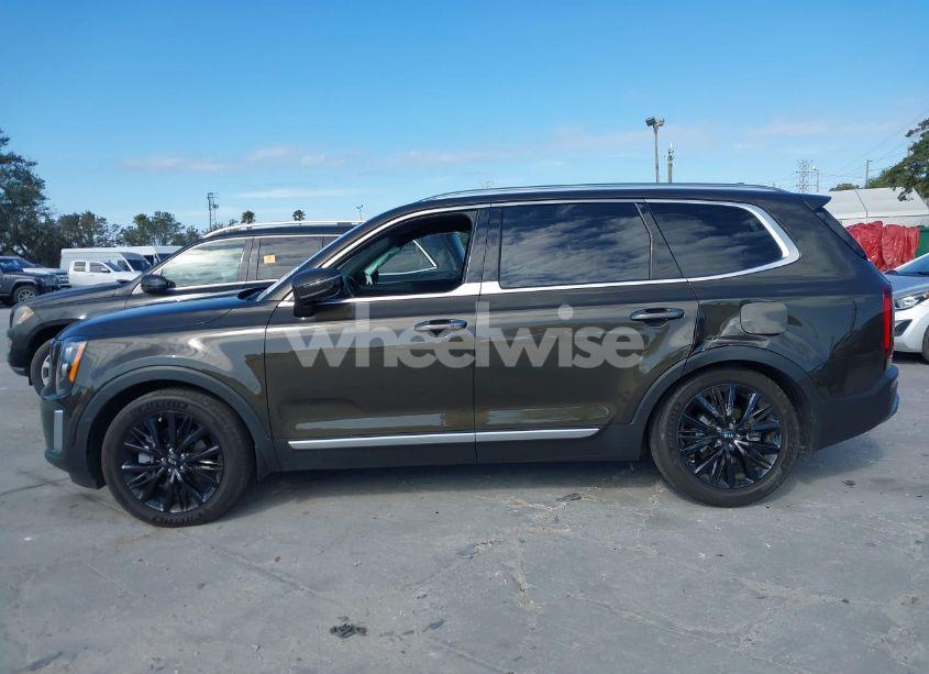 Photo 14 of 2021 Kia Telluride SX (VIN 5XYP5DHC7MG165033)