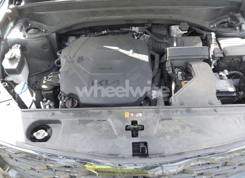 Photo 10 of 2022 Kia Telluride SX (VIN 5XYP5DHC7NG296481)