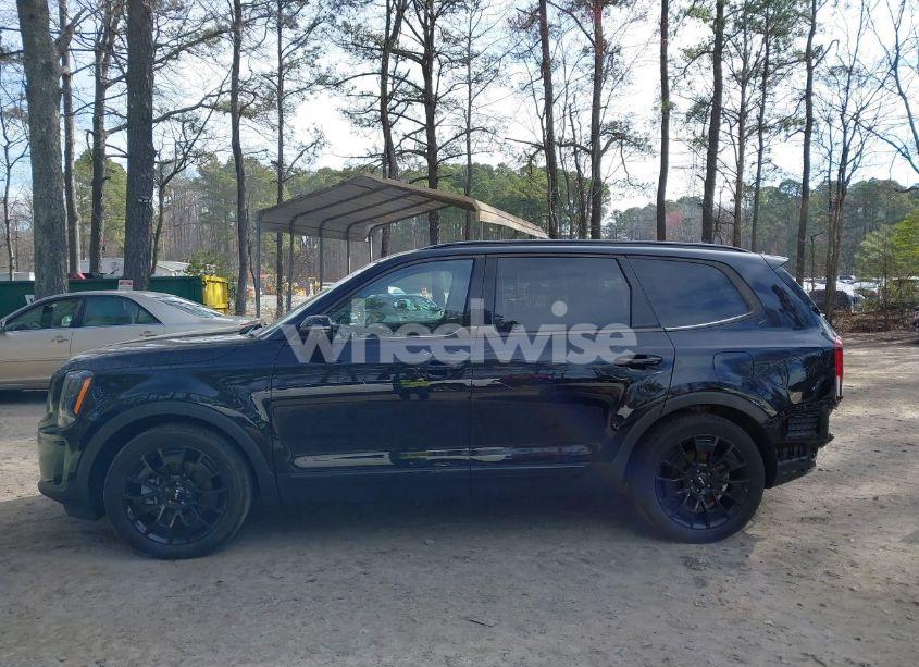 Photo 15 of 2022 Kia Telluride SX (VIN 5XYP5DHC7NG296481)