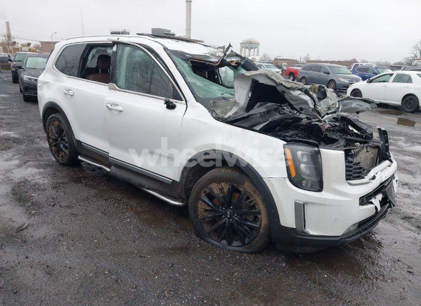 2020 Kia Telluride SX (VIN 5XYP5DHC8LG020971) main photo