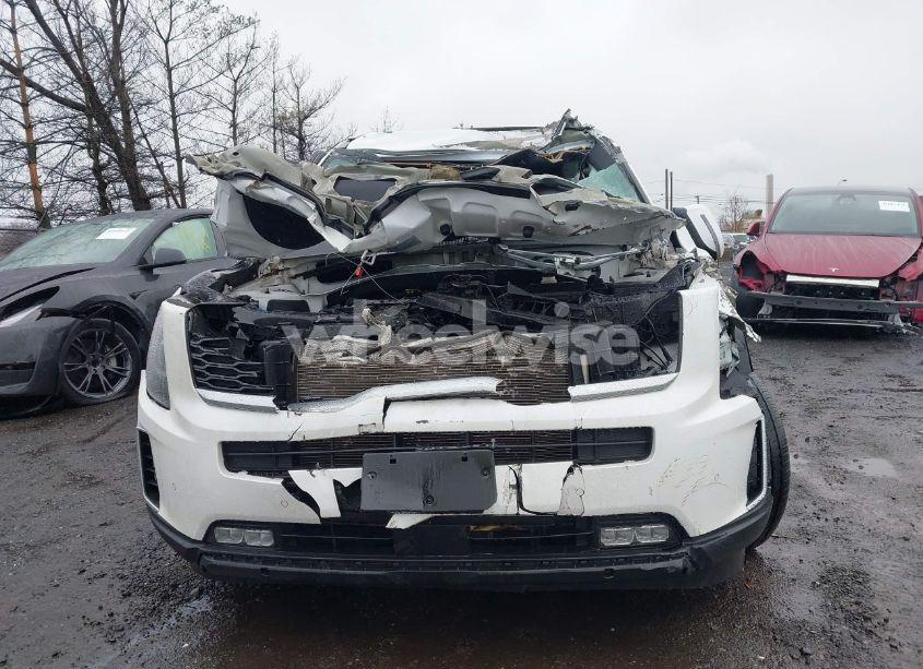 Photo 12 of 2020 Kia Telluride SX (VIN 5XYP5DHC8LG020971)