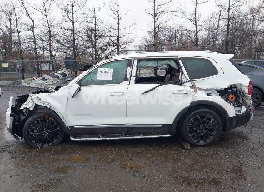Photo 14 of 2020 Kia Telluride SX (VIN 5XYP5DHC8LG020971)