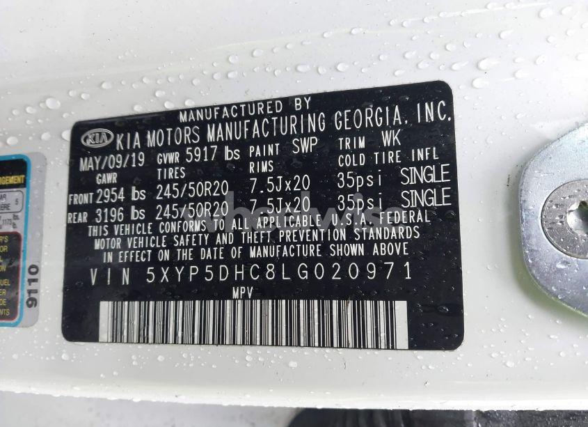 Photo 9 of 2020 Kia Telluride SX (VIN 5XYP5DHC8LG020971)