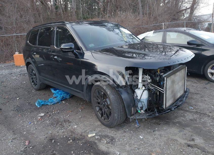 2021 Kia Telluride SX (VIN 5XYP5DHC8MG102037) main photo