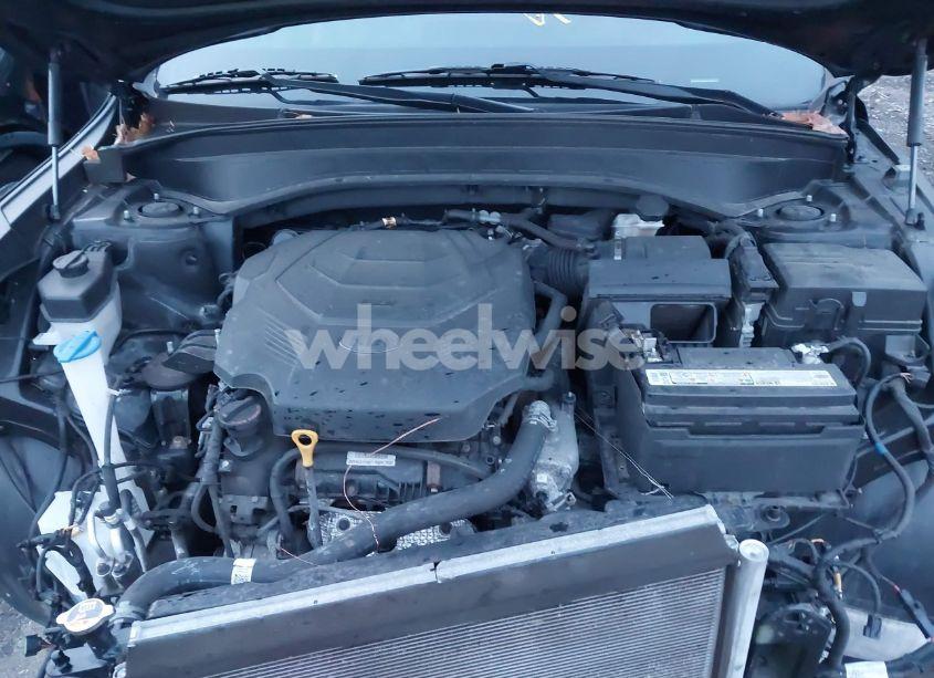 Photo 10 of 2021 Kia Telluride SX (VIN 5XYP5DHC8MG102037)