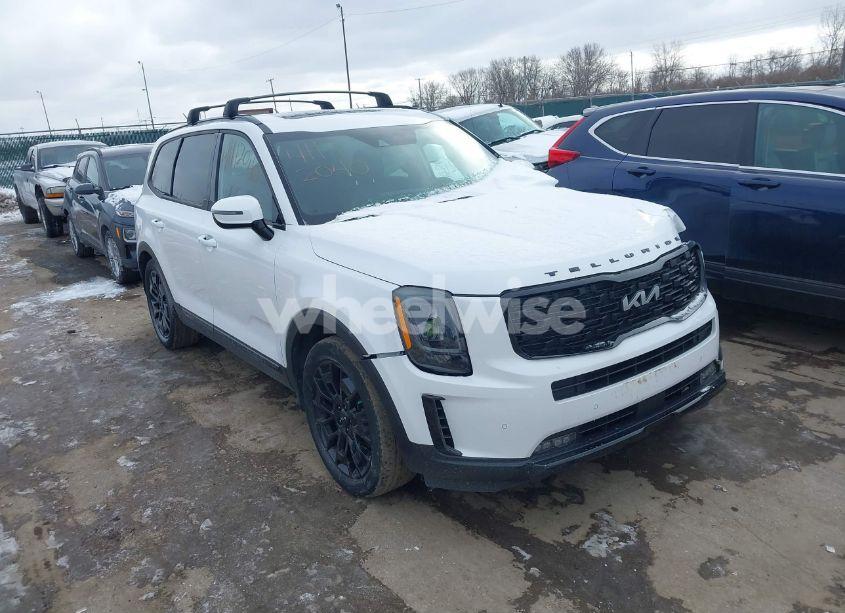2022 Kia Telluride SX (VIN 5XYP5DHC8NG211793) main photo