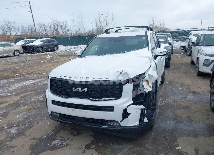Photo 12 of 2022 Kia Telluride SX (VIN 5XYP5DHC8NG211793)
