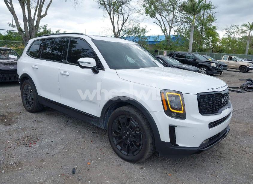 2022 Kia Telluride SX (VIN 5XYP5DHC8NG308797) main photo