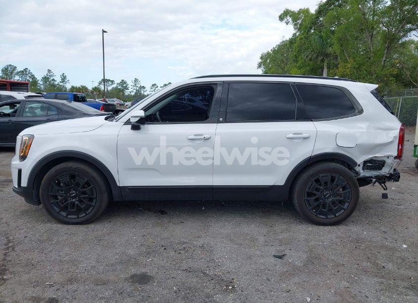 Photo 15 of 2022 Kia Telluride SX (VIN 5XYP5DHC8NG308797)