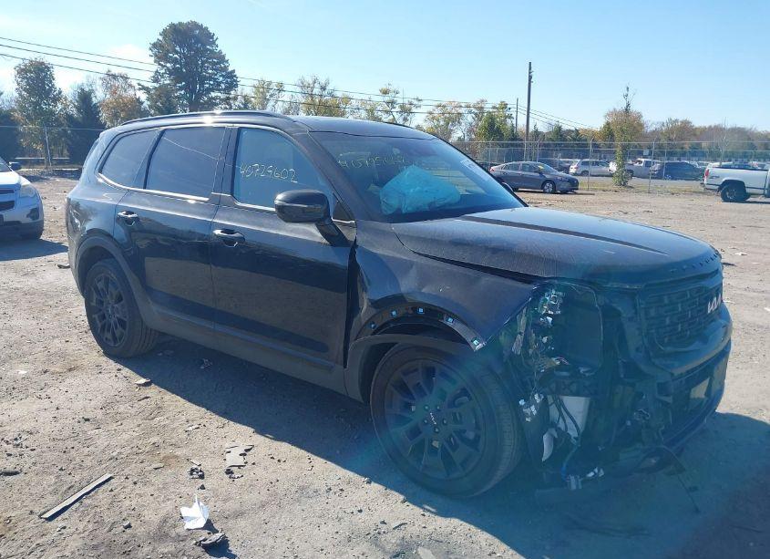 2022 Kia Telluride SX (VIN 5XYP5DHC8NG316043) main photo