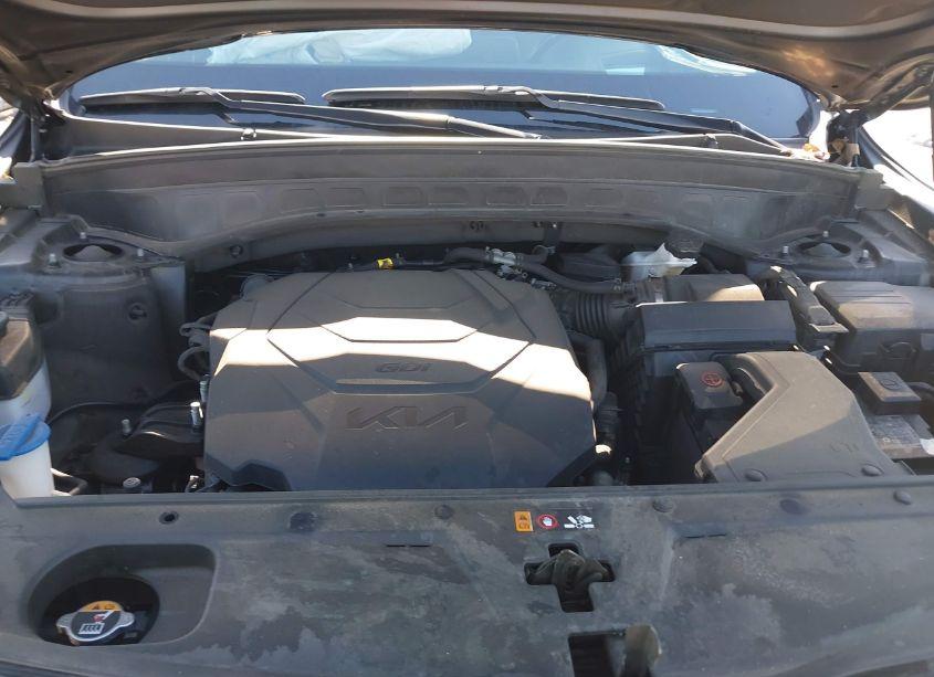 Photo 10 of 2022 Kia Telluride SX (VIN 5XYP5DHC8NG316043)