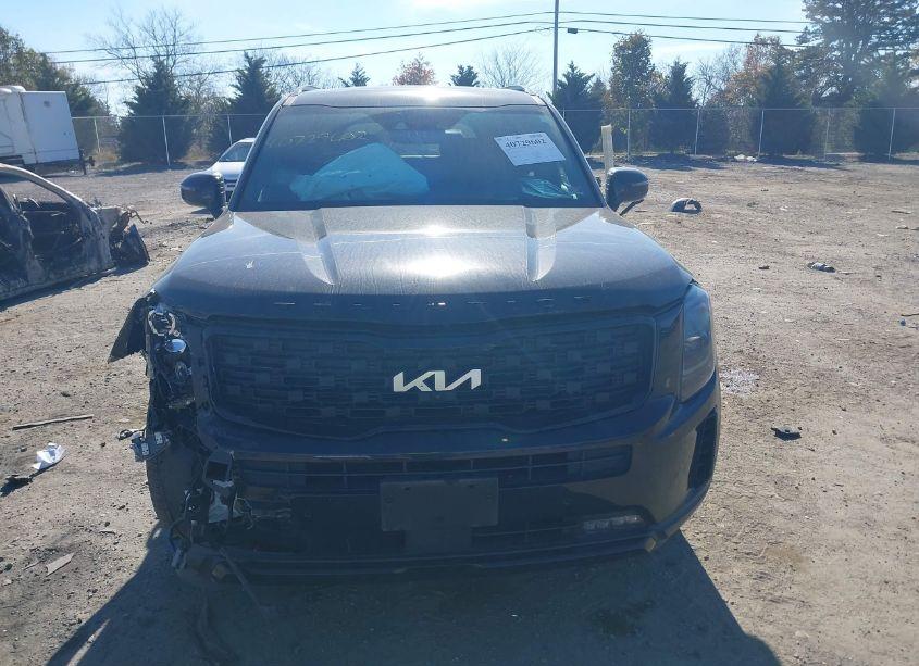 Photo 12 of 2022 Kia Telluride SX (VIN 5XYP5DHC8NG316043)