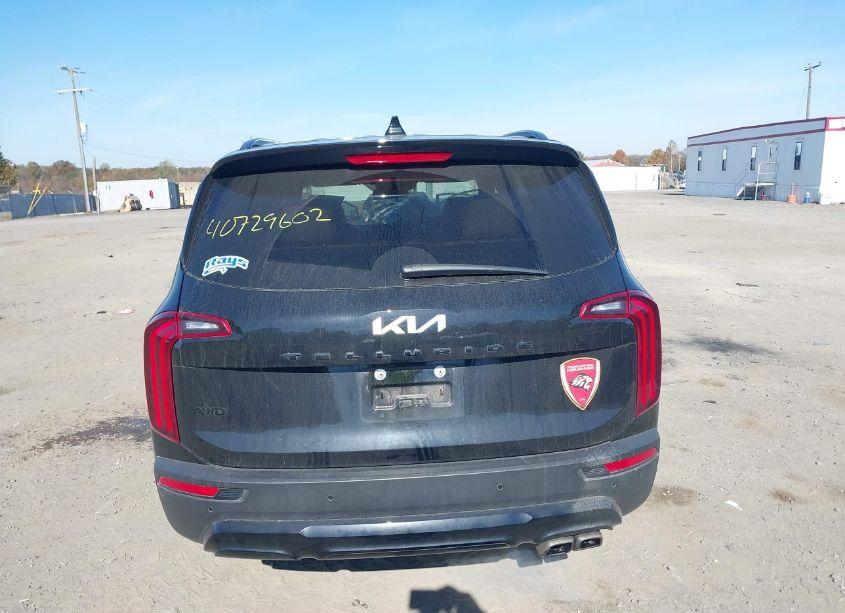 Photo 16 of 2022 Kia Telluride SX (VIN 5XYP5DHC8NG316043)