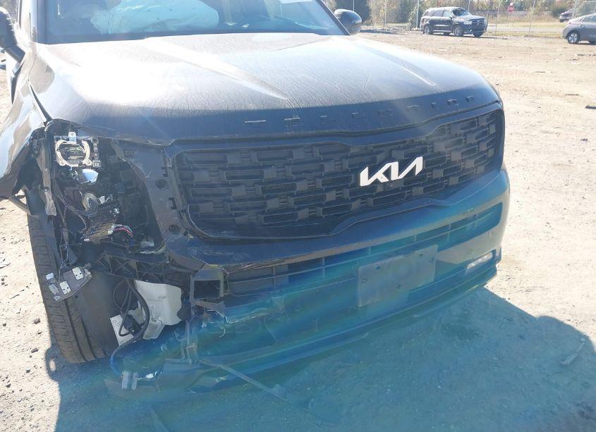 Photo 6 of 2022 Kia Telluride SX (VIN 5XYP5DHC8NG316043)