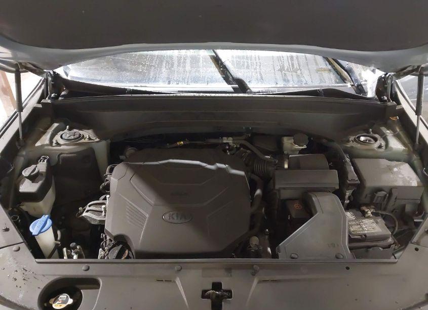 Photo 10 of 2020 Kia Telluride SX (VIN 5XYP5DHC9LG041327)