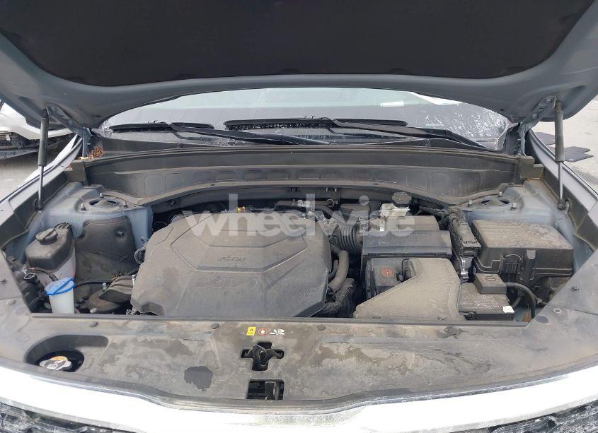 Photo 10 of 2022 Kia Telluride SX (VIN 5XYP5DHC9NG232524)