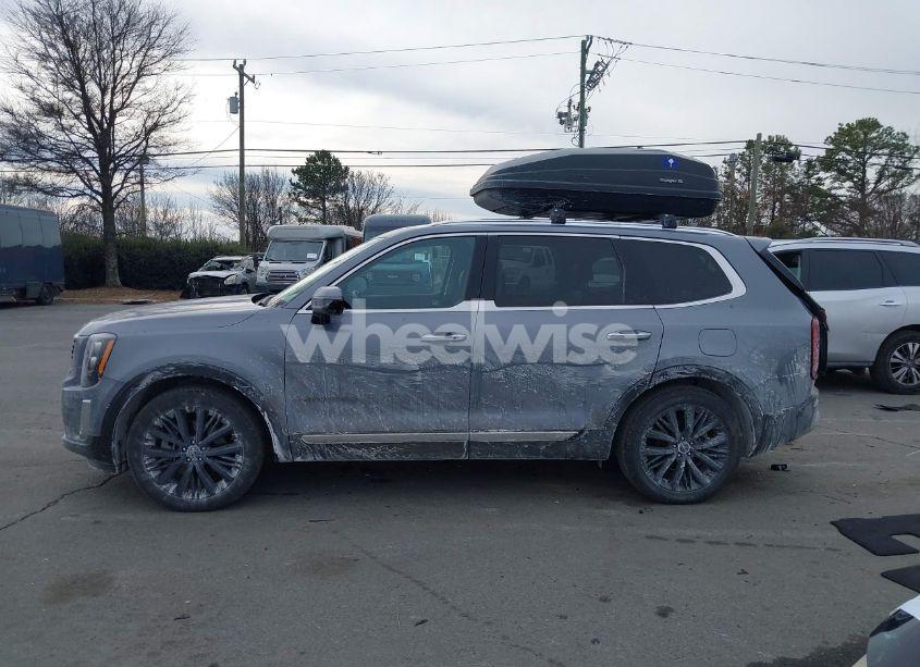 Photo 14 of 2022 Kia Telluride SX (VIN 5XYP5DHC9NG232524)