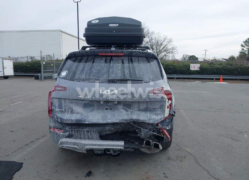 Photo 16 of 2022 Kia Telluride SX (VIN 5XYP5DHC9NG232524)