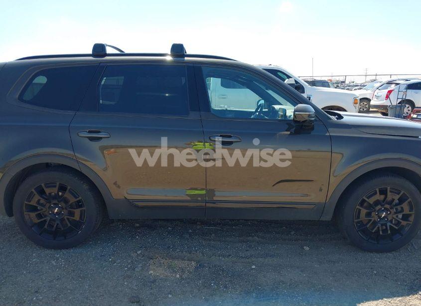 Photo 14 of 2022 Kia Telluride SX (VIN 5XYP5DHC9NG266365)
