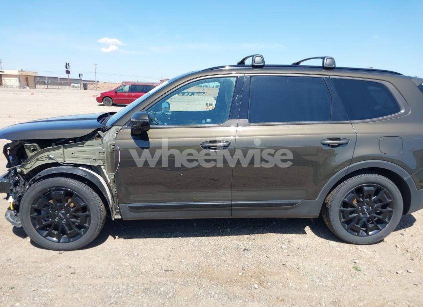 Photo 15 of 2022 Kia Telluride SX (VIN 5XYP5DHC9NG266365)