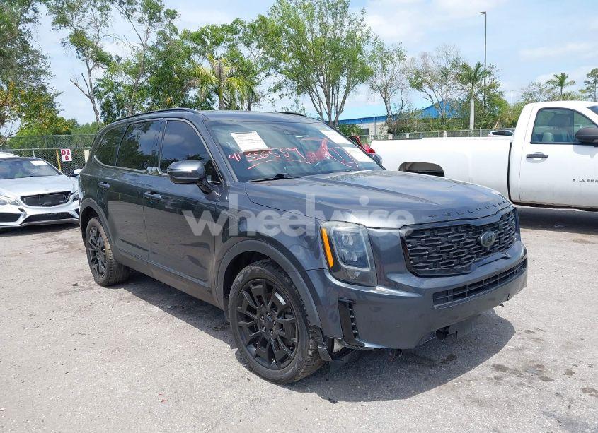 2021 Kia Telluride SX (VIN 5XYP5DHCXMG105568) main photo