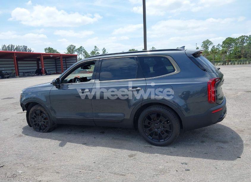 Photo 14 of 2021 Kia Telluride SX (VIN 5XYP5DHCXMG105568)